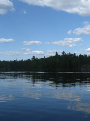 Minnesota Birch Lake
